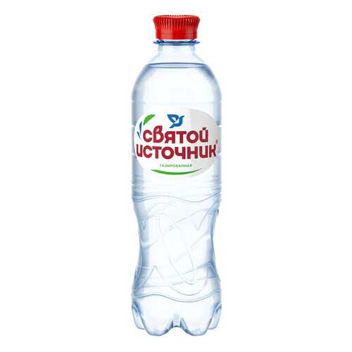 Вода СВЯТОЙ ИСТОЧНИК газ пэт 0,5л*12 шт в Окей